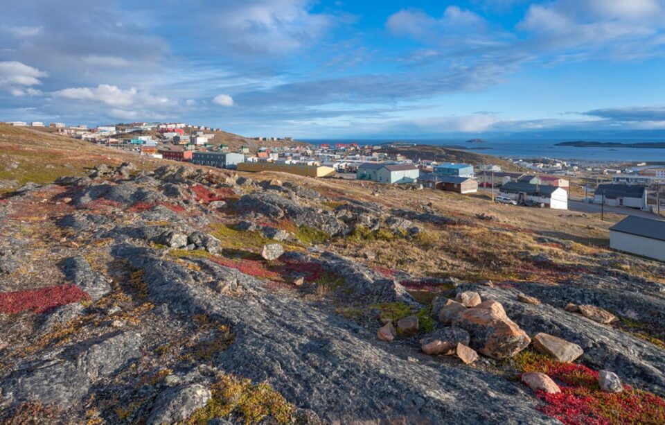 Rocky landscape with vibrant & colorful plants in Nunavut, Canada